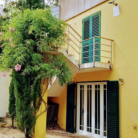 Casa Amarante Porto Villa Exterior photo